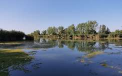 Tószeg