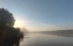 Ködös reggel a Holt Tiszán