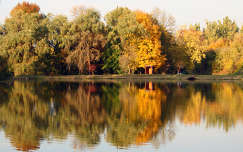 Kazincbarcika Csótó ősz