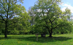Csehország, Veselí nad Moravou tavasszal a parkban