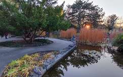 margit-sziget kertek és parkok budapest tükröződés tó magyarország