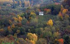 Házikó az őszben
