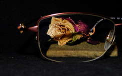 Miniatűr elmúlás, rózsa, szemüveg, könyv - Made by Zs.