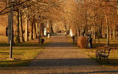 Erzsébet park, Balatonalmádi