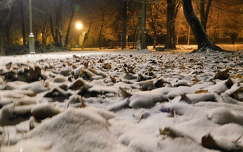 Hajnali havazás a Doktorkertben, Balatonfűzfő