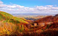ősz hegy erdő címlapfotó