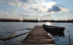 Holt Tisza