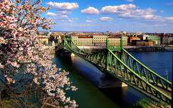 címlapfotó duna híd szabadság híd budapest tavasz magyarország folyó