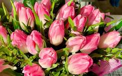 címlapfotó névnap és születésnap tavaszi virág tulipán virágcsokor és dekoráció