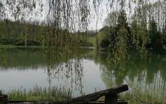 tükröződés tó