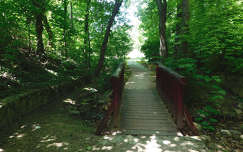 Híd a Völgyikút parkban, Veszprém