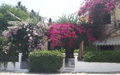 Görög ház utcafrontja