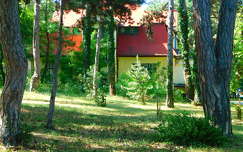 Ház
