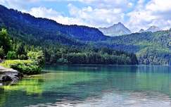 nyár hegy erdő címlapfotó tó