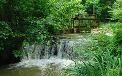 Vízesés a Kámoni Arborétum és Ökoturisztikai Központban - Szombathely