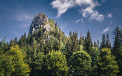 hegy erdő kárpátok erdély románia kövek és sziklák