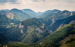 erdély románia címlapfotó hegy kövek és sziklák nyár erdő kárpátok