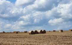 Bálák a 77-es út mentén