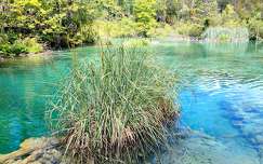 tó horvátország plitvicei tavak