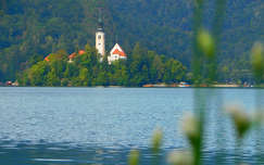 Bledi-tó,  Bledi sziget, Szűz Mária búcsújáró templom, Szlovénia