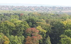 Hévízi panoráma
