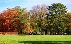 ősz, Balatonakarattya, park