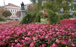 Debrecen Kálvin tér, kertek és parkok