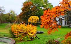 ősz, Siófok, park, színek