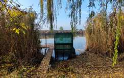 Holt Tisza