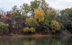 Tiszapart