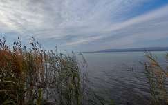 magyarország balaton nád tó