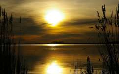 naplemente tó tükröződés címlapfotó nád