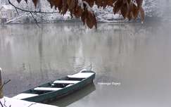 Les Bords du Loiret sous la neige