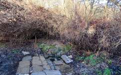 Bagi Petőfi forrás