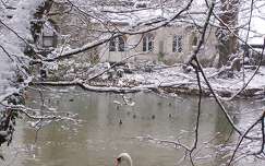Le Loiret en Hiver