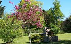 Souvigny-en-Sologne