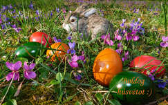 Boldog húsvétot kívánok :)