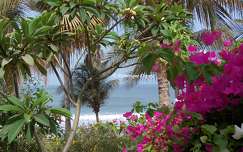 Plage de Cap Skirring - Sénégal