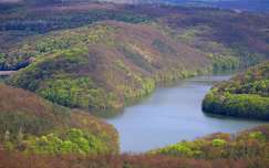 Lázbérci tó, tavasz, erdő, kilátás