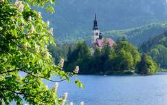 Bled tó, Szlovénia