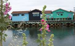 Petit Village - Port des Salines - L'île d'Oléron -France