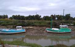 Marennes - France