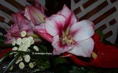 Bouquet de Fleurs