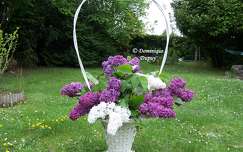 Lilas violet et blanc