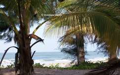 Plage de Cap Skirring - Sénégal
