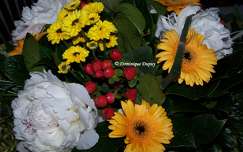 Bouquet de fleurs