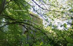 Le Moulin des Béchets à Olivet - France