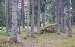 Sziklás erdő Svédországban