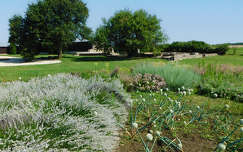 Fűszernövény-kert, Villa Romana Baláca - római kori villagazdaság és romkert, Nemesvámos