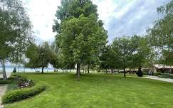 balaton tó kertek és parkok fa magyarország